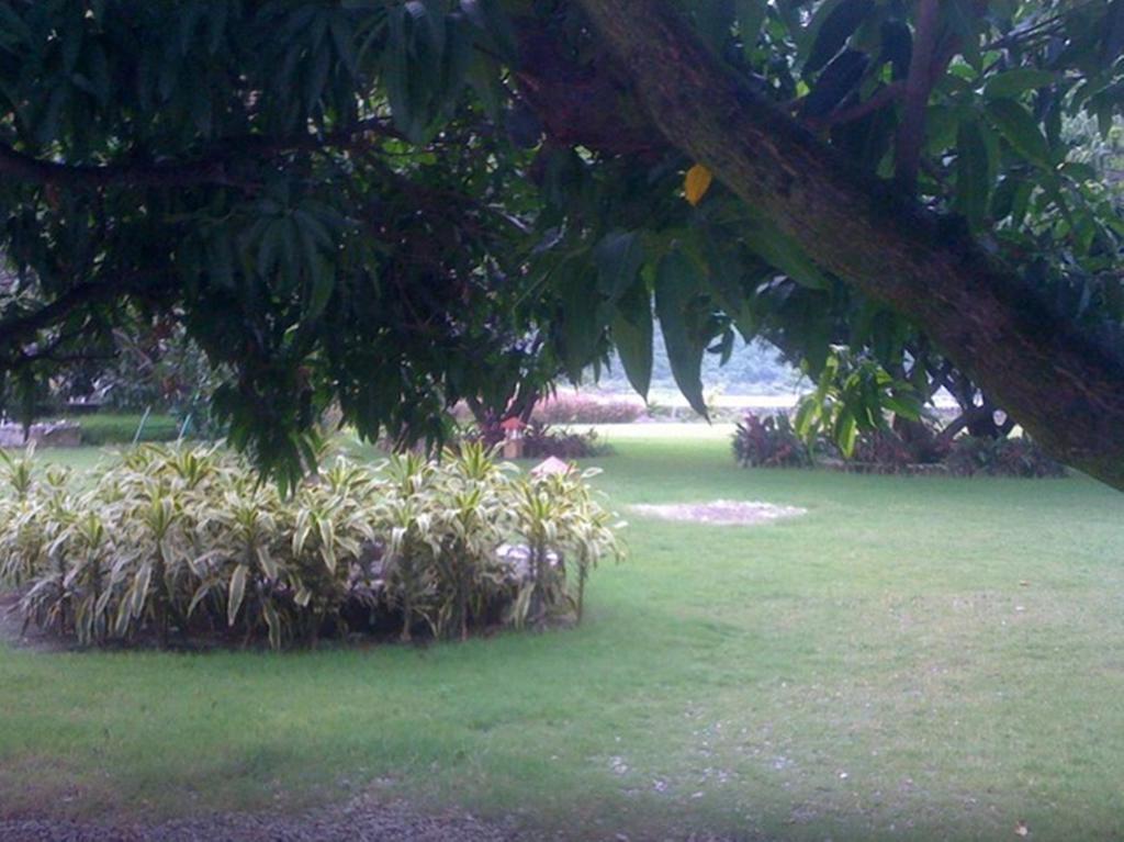 Dewdrop Mango Bloom Resort Nainital Room photo